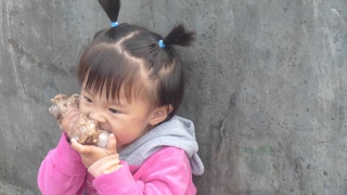 啃猪头骨头的小女孩
