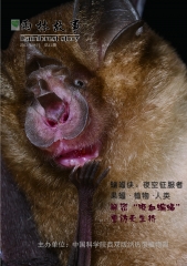 COVER 12