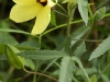 2009-01-06-01