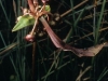 2009-01-22-01