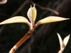 2009-01-52-02