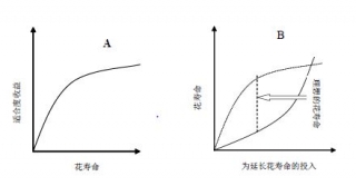 2009-02-18-01