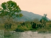 2010-03-18-01