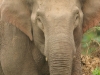 2010-03-21-01
