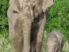 2010-03-26-02