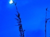 2010-03-30-01