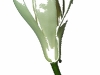 2010-03-36-01