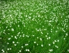 2010-03-37-01