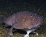 2010-03-39-01