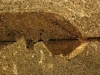 2010-03-45-01
