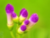2010-03-47-01