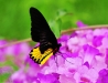 2010-03-48-01