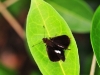 2010-03-49-02