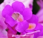 2010-03-49-03