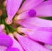 2010-03-50-02