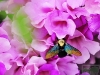 2010-03-51-01