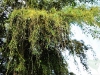 2010-03-52-01