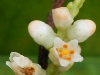 2010-03-54-01