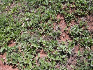 neo_img_2010-04-01-03