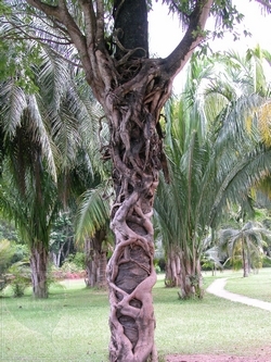 neo_img_2010-04-02-02