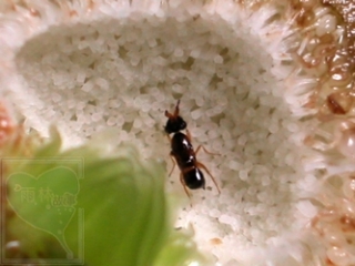 neo_img_2010-04-04-01