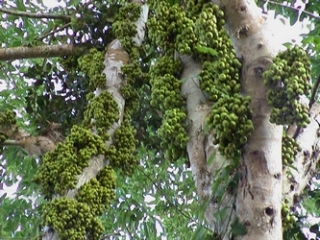 neo_img_2010-04-06-02