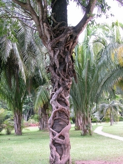 neo_img_2010-04-06-03