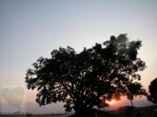 neo_img_2010-04-07-01