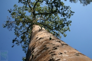 neo_img_2010-04-08-01