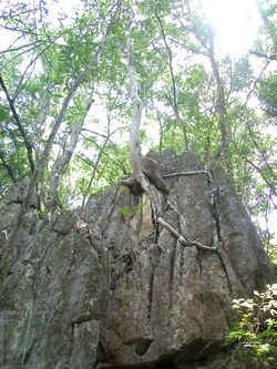 neo_img_2010-04-17-03
