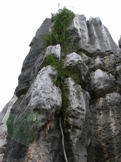 neo_img_2010-04-18-02