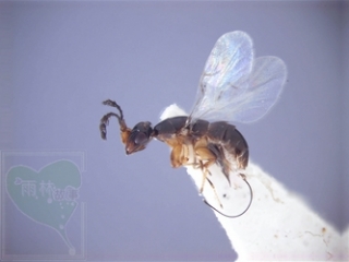 neo_img_2010-04-25-01