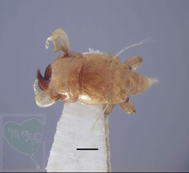 neo_img_2010-04-26-01