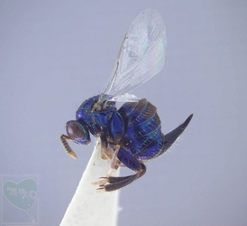 neo_img_2010-04-27-01