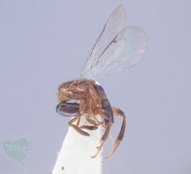 neo_img_2010-04-27-02