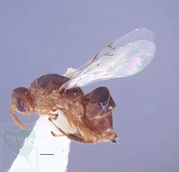 neo_img_2010-04-27-03