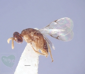 neo_img_2010-04-27-04