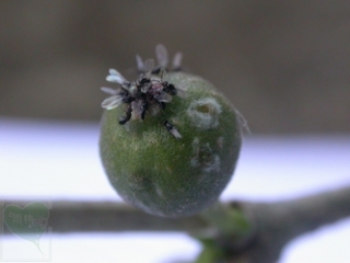 neo_img_2010-04-28-01
