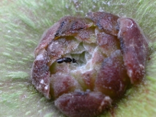 neo_img_2010-04-29-01