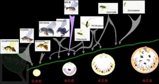neo_img_2010-04-31-01