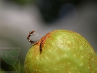 neo_img_2010-04-34-01