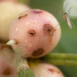 neo_img_2010-04-37-01