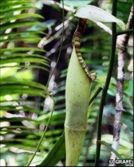 neo_img_2010-04-39-01