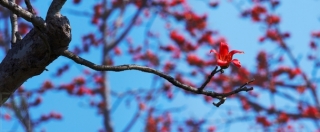 neo_img_2010-04-43-01