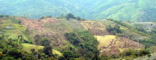 2010-01-14-01