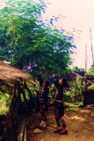 2010-01-19-01