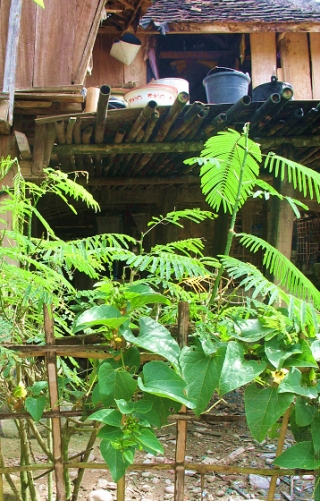 2010-01-22-01