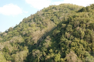 2010-01-29-01
