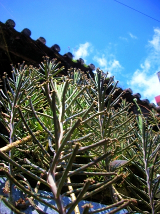 2010-01-34-01