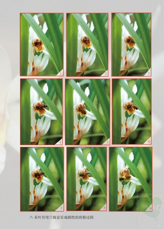 2010-01-47-01